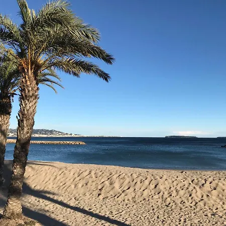 Apartamento Cannes, Palme D'argent Cannes